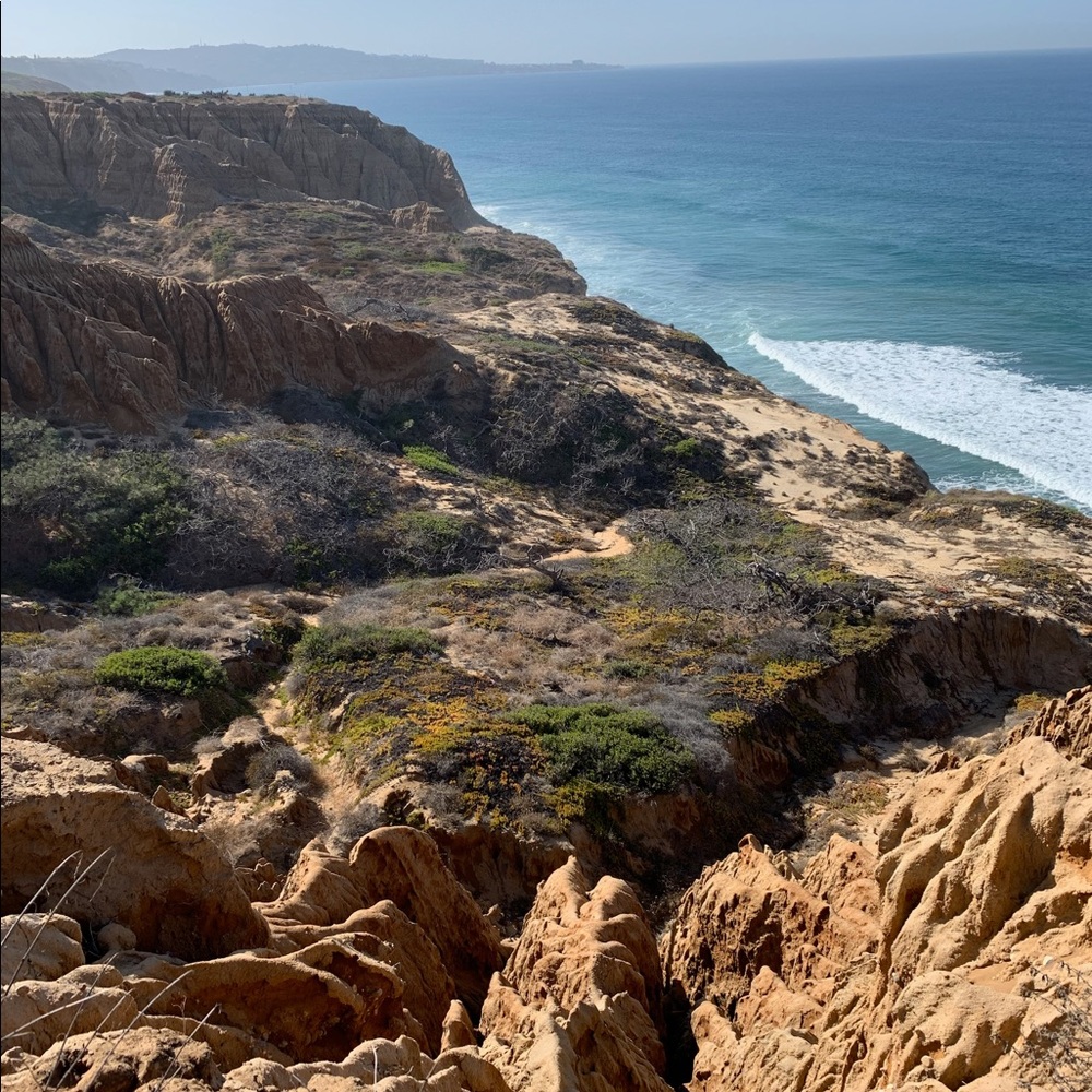 Meet your Posher, Colleen